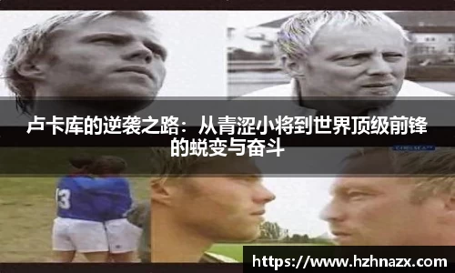 星空.综合体育官网