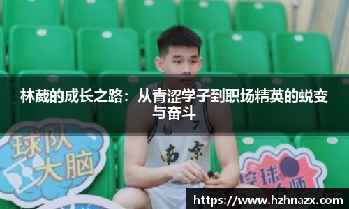 星空.综合体育官网