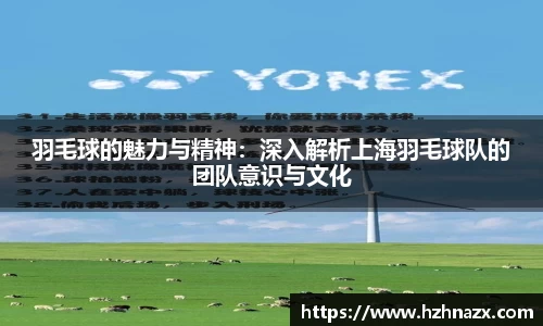 羽毛球的魅力与精神:深入解析上海羽毛球队的团队意识与文化